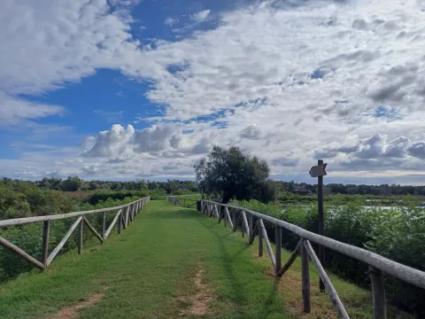 Golena di Ca' Pisani sulla sponda sinistra del Po di Maistra
