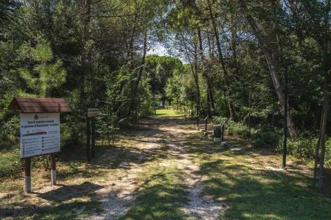 Vista di sentiero delle dune fossili di Porto Viro