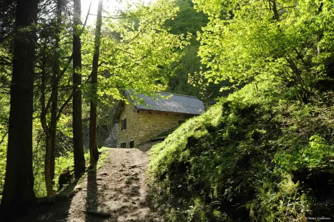 Valle dei Mulini a Gallio: acqua che scorre fra antichi mulini e natura incontaminata