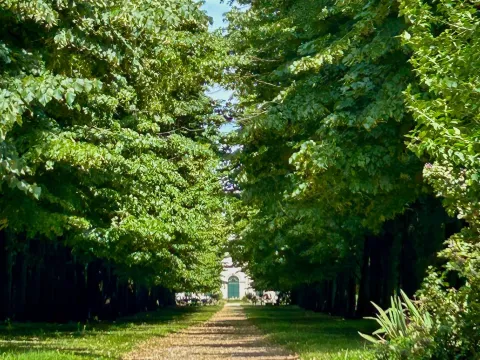 Viale alberato di Villa Giustiniani a Vanzo