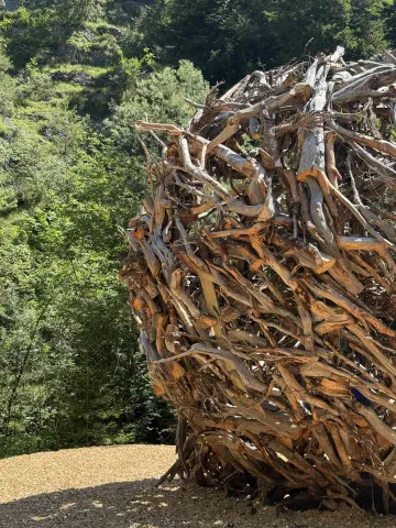 Il Nido, opera di Martalar, realizzata con alberi, rami e tronchi della tempesta Vaia, esposta lungo i sentieri delle Cascate di Pedemonte