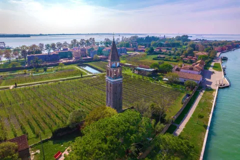 Vigneti dell'isola di Mazzorbo con campanile di San Michele Arcangelo e veduta sulla Laguna Veneta