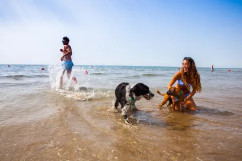 Bagnanti giocano in acqua con due cani alla Bau Bau Beach del Lido di Jesolo