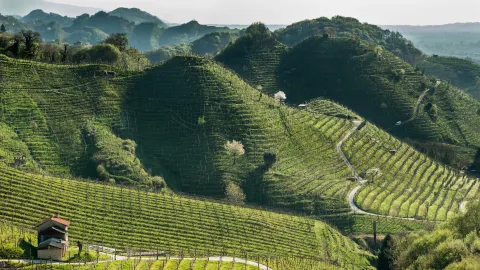 Vista panoramica delle colline di Conegliano Valdobbiadene