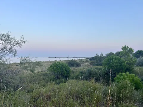 Mare del Lido di Venezia dall'Oasi delle Duene degli Alberoni al tramonto