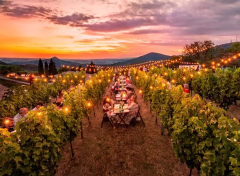 Vista serale cene in vigna d'estate 