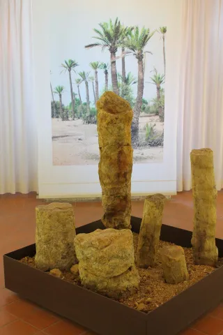 Reperti Museo Archeologico di Adria