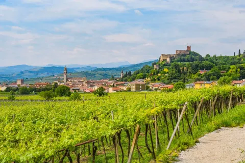 Vigneti di Soave con borgo sul fondo e Castello
