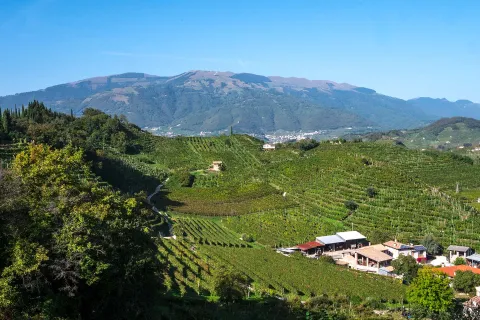 Veduta sul Monte Cesen a Vidor