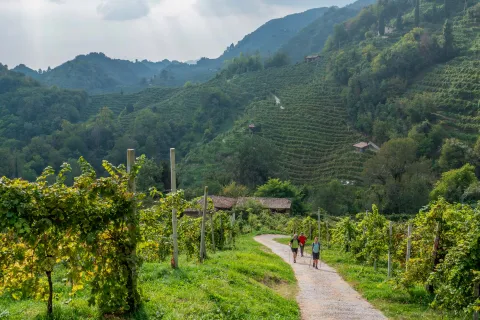 Escursionisti tra i vigneti di Farra di Soligo