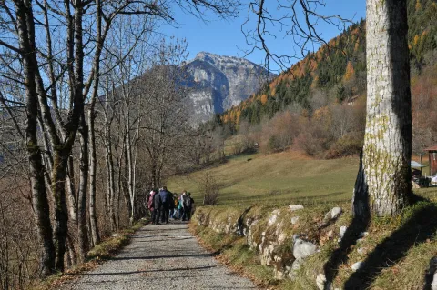 Sentiero Col dei Mich Parco Nazionale Dolomiti Bellunesi con il foliage