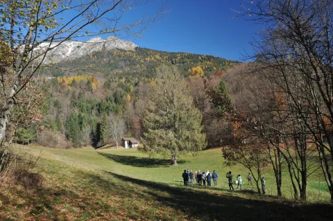 Panorama Col dei Mich Parco Nazionale Dolomiti Bellunesi 