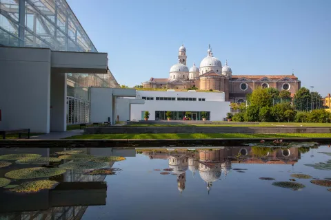 All'interno dell'Orto Botanico di Padova