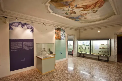 Sala di Palazzo Sturm, Museo civico di Bassano del Grappa