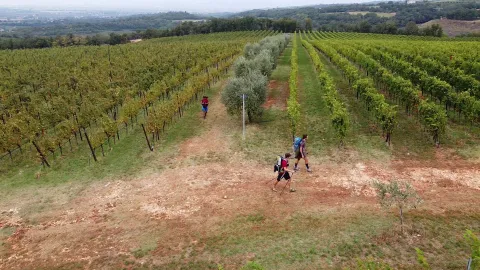 Escursionisti tra i vitigni dei Colli Berici