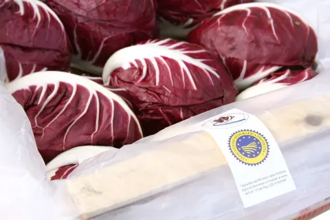 Radicchio di Verona IGP in cassetta
