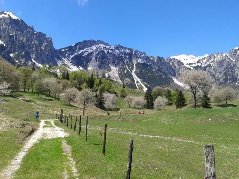 Sentiero dei grandi alberi di Recoaro con montagne sullo sfondo sull'Altopiano delle Montagnole