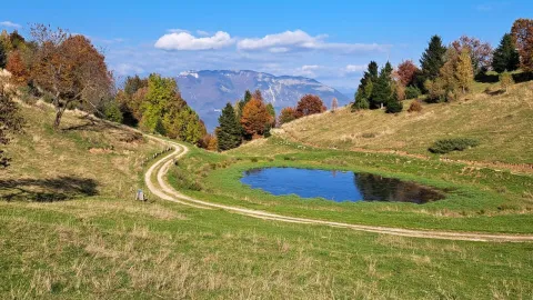 Laghetto sul Sentiero dei grandi alberi sull'Altopiano delle Montagnole in autunno con il foliage