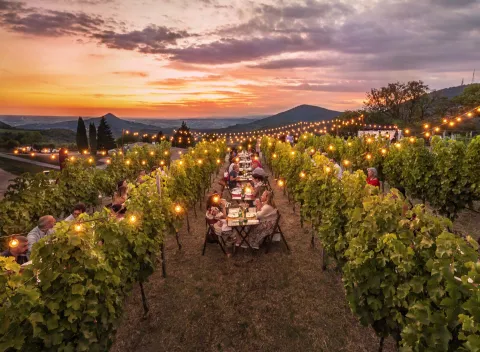 Commensali a cena tra i vigneti dei Colli Euganei illuminati da lucine al tramonto
