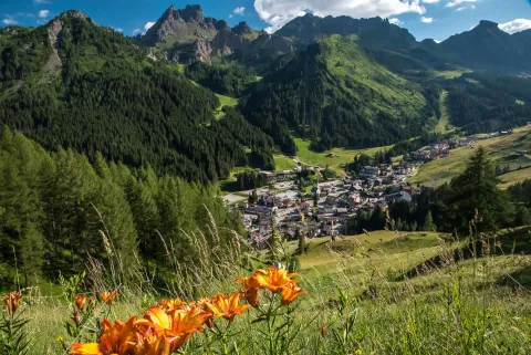Vista panoramica di Arabba con fiori in primo piano