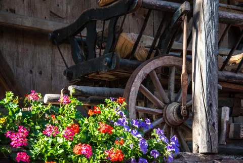 Vaso di fiori e carretto a Canale d'Agordo