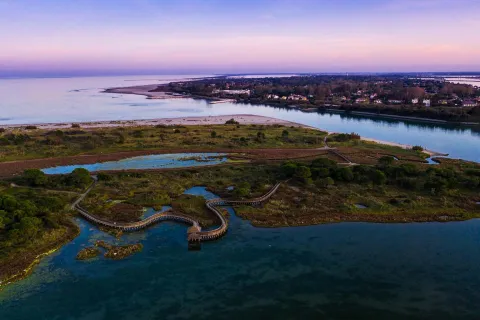 Panoramica del Giardino Botanico Litoraneo del Veneto