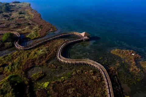 Vista aerea del Giardino Botanico Litoraneo del Veneto con la caratteristica passerella