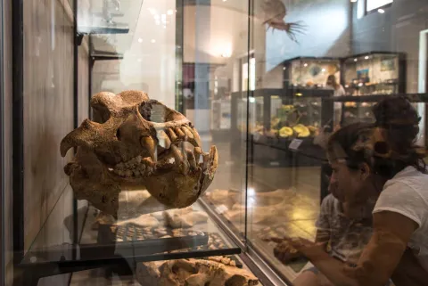 Persone in visita al Museo Geopaleontologico di Camposilvano nel Parco Naturale Regionale della Lessinia