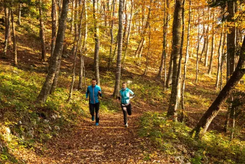 Running nel Parco Naturale Regionale della Lessinia
