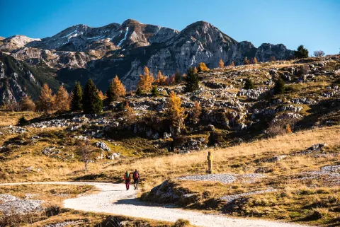Trekking nell'area di Malga San Giorgio nel Parco Naturale Regionale della Lessinia