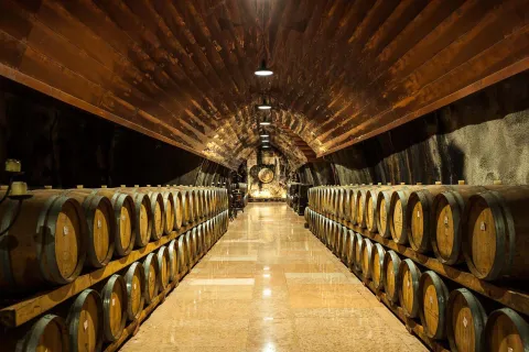 Cantina con fila di botti di vino di Soave