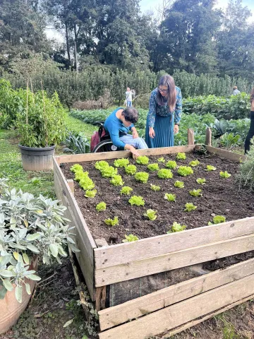 Turista in sedia a rotelle all'Orto rialzato presso Villa Zileri, Monteviale 