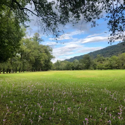 Prato presso la Riserva Naturale del Vincheto di Celarda