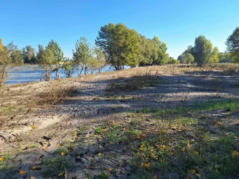 Visita guidata al tramonto nel parco Adige Sud