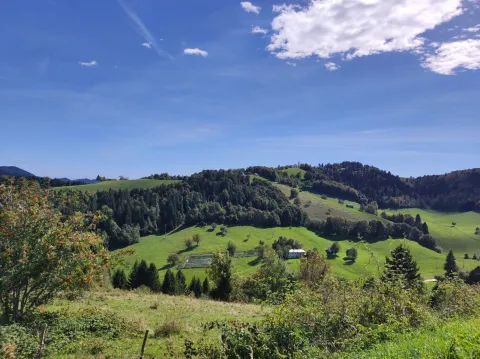 Veduta da San Giovanni sul Monte Grappa