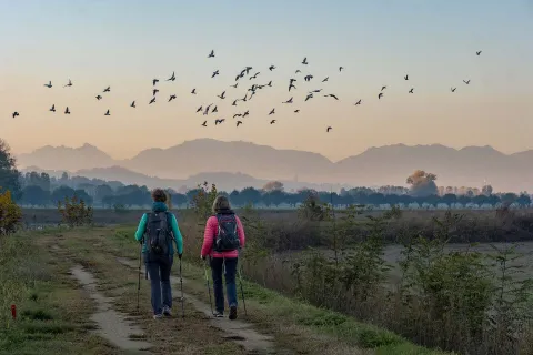 Escursioniste sui Colli Berici a Longare al tramonto con stormo di uccelli