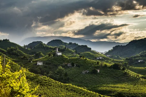 Paesaggio nuvoloso delle Colline del Prosecco di Conegliano e Valdobbiadene con i vigneti