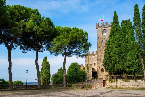 Castello di Conegliano visto dal piazzale con alberi sempreverdi