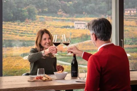 Dure persone brindano con un calice di Amorone con vigneti della Valpolicella durante il foliage sullo sfondo