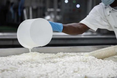 Preparazione della Casatella Trevigiana