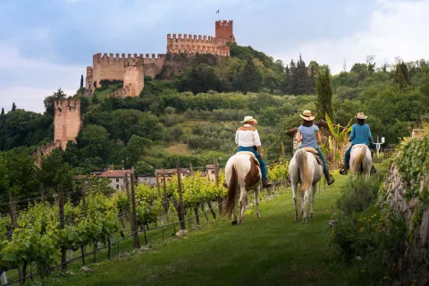 Escursione a cavallo tra i vigneti di Soave con castello sullo sfondo