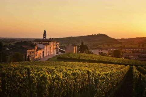 Scorcio del borgo di Soave e dei vigneti del Soave DOC al tramonto