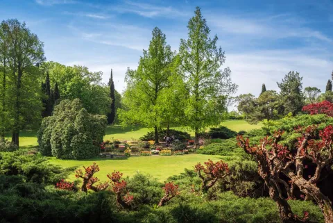 Parco Giardino Sigurtà fiorito