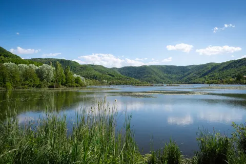 Lago di Fimon con ninfee e canneti