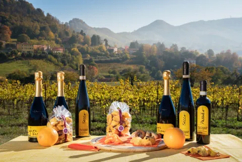 Bottiglie di Spumante Fiori d'Arancio con vigneti dei Colli Euganei sullo sfondo