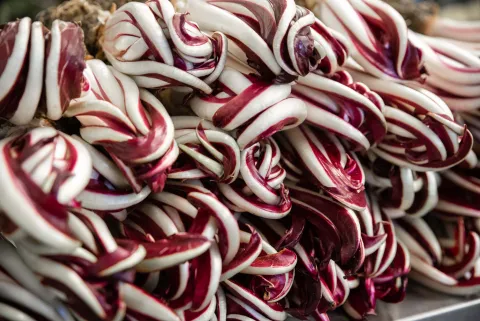 Radicchio Rosso di Treviso tardivo