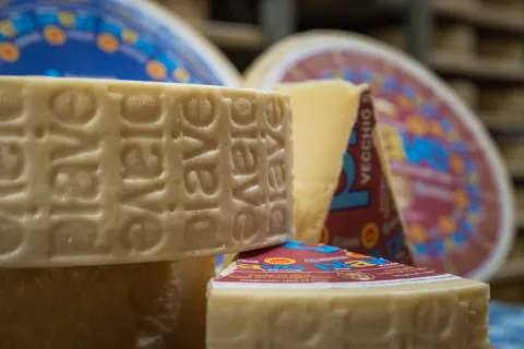 Dettaglio delle forme di Formaggio Piave