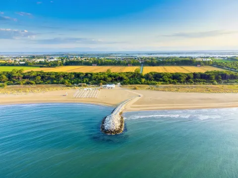Vista aerea della spiaggia di Cavallino Treporti con pineta, sdraie e ombrelloni