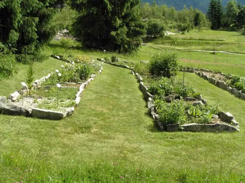 Aiule piante officinali Giardino Lorenzoni