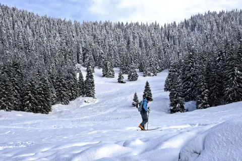 Sciatore di fondo tra i boschi dell'Altopiano di Asiago Sette Comuni